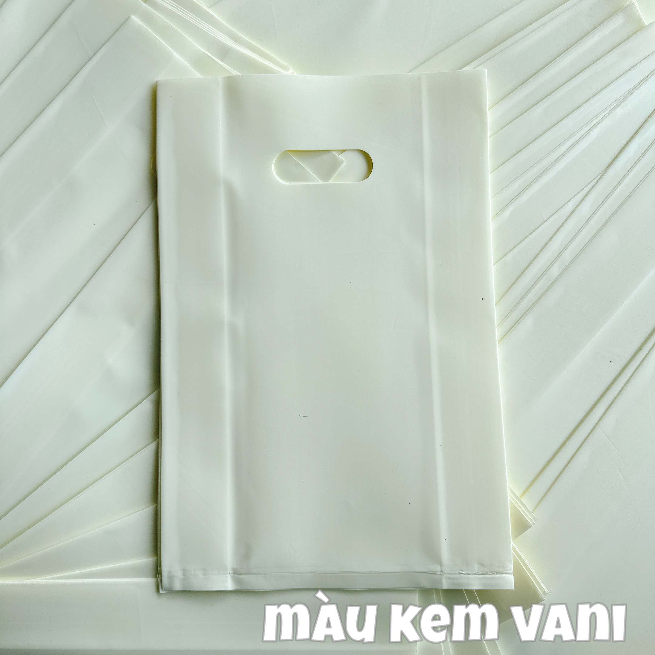 1kg TÚI HỘT XOÀI MÀU
