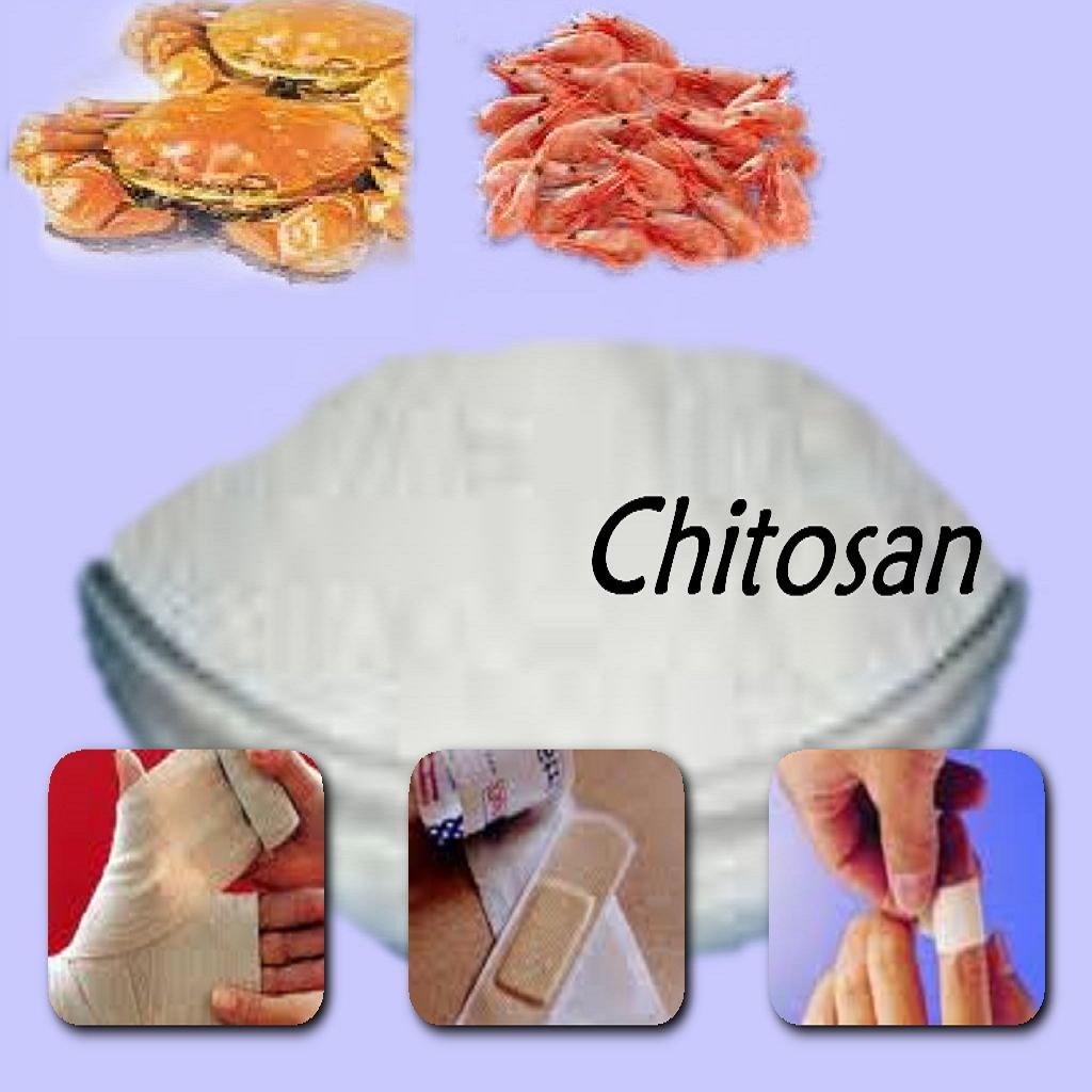 Phân bón Bio Nano Tech Chitosan chai 250ml