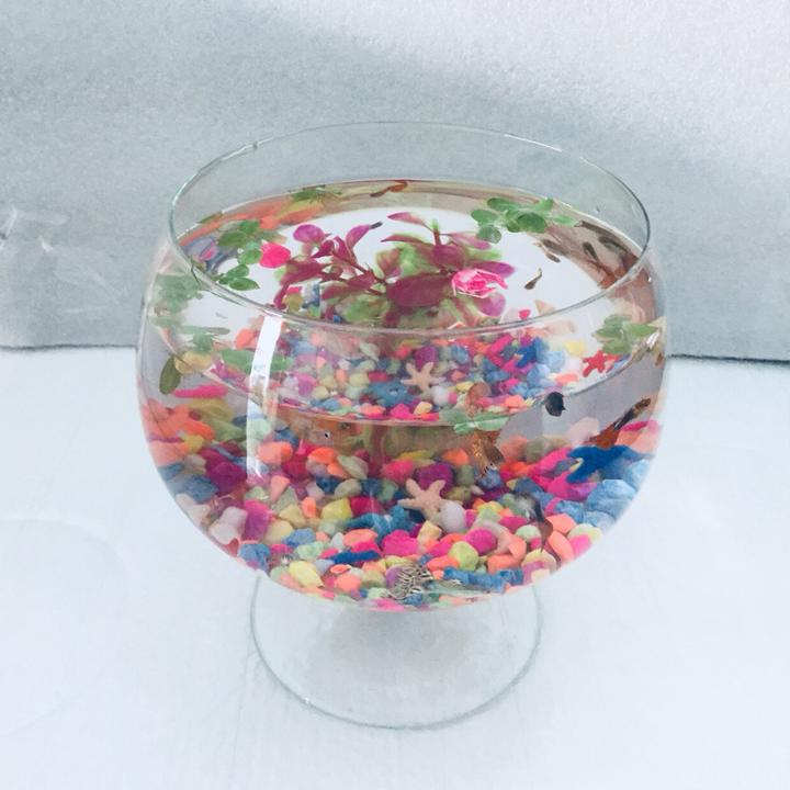 Bể cá mini để bàn LC - Tặng phụ kiện