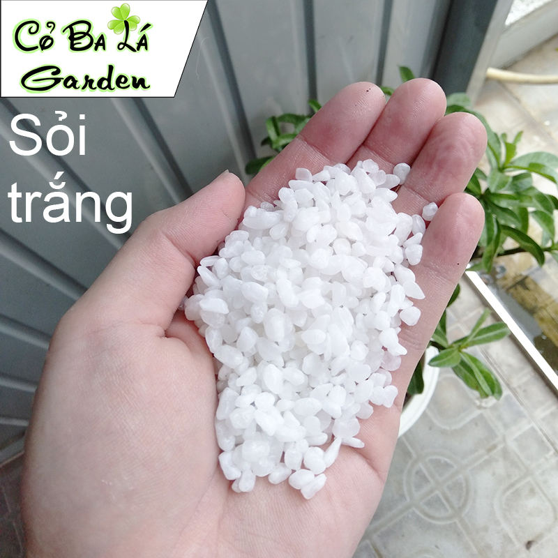 Sỏi Suối 500gr để trải mặt cây, hoặc lót bể cá