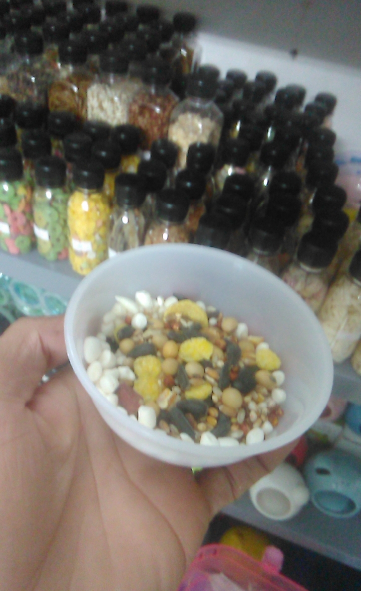 Bát nhựa đựng thức ăn cho hamster