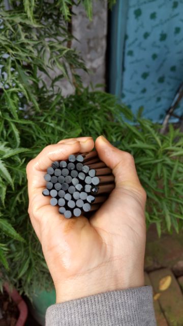 Đũa Gỗ Mun Sừng (10 Đôi)