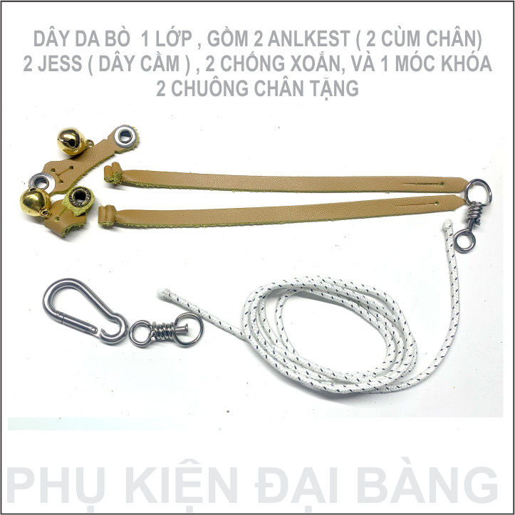 Bộ dây da loại  chim ưng