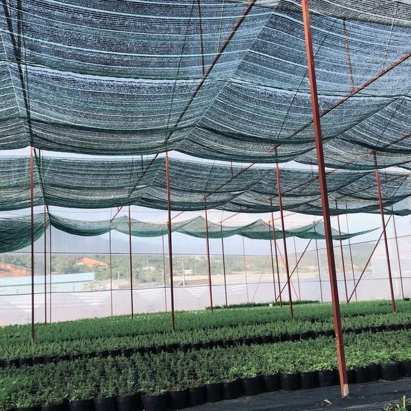 [ GIÁ BÁN THEO MÉT DÀI ] Lưới che nắng Thái Lan che phủ 70% khổ rộng 2M