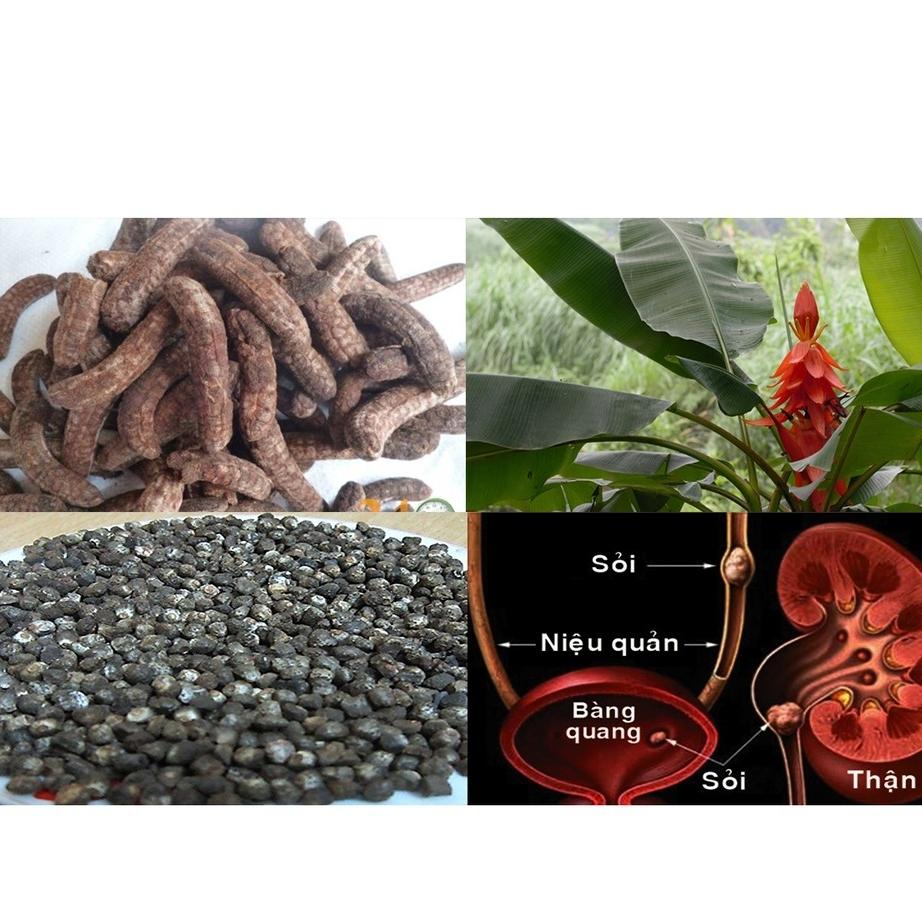 combo 3kg hạt chuối hột rừng
