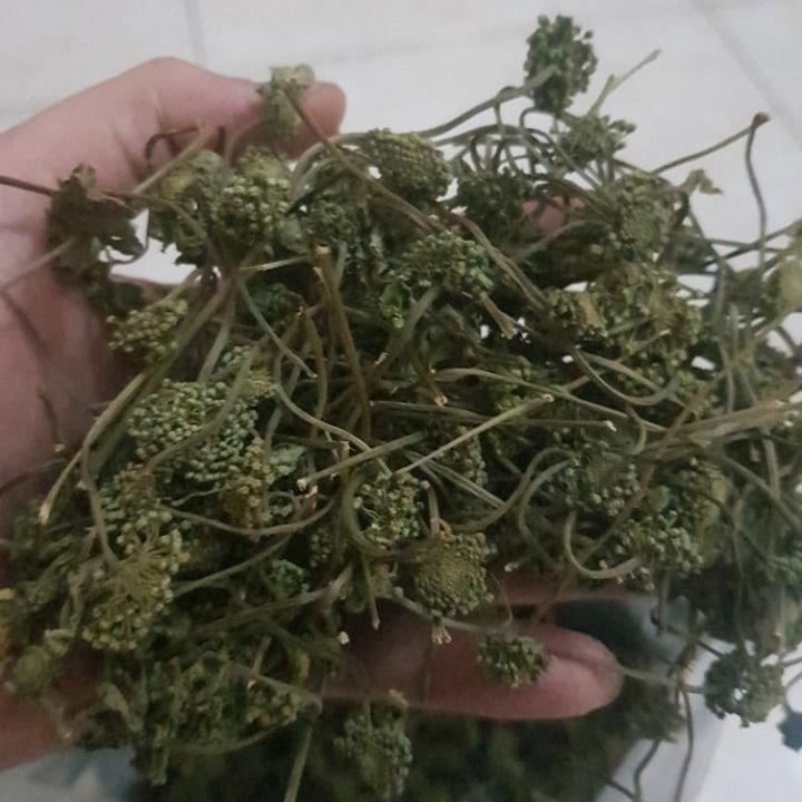 Nụ hoa tam thất khô 500g
