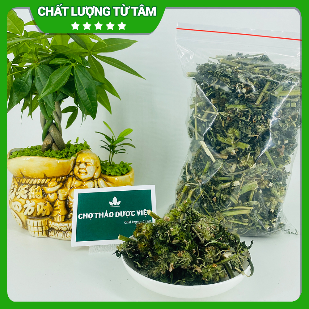 Ích mẫu khô 1kg, hỗ trợ điều hòa kinh nguyệt, bổ huyết, giảm đau bụng kinh, cân bằng nội tiết