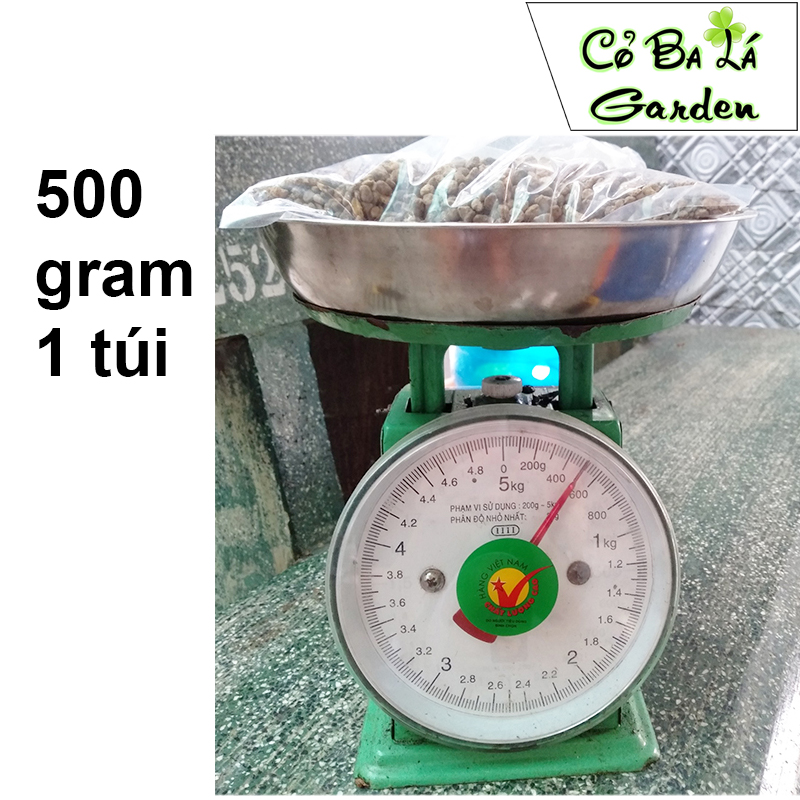 Đá Lava Đỏ,Đen , túi 1-kg Đá nham thạch đỏ.đen