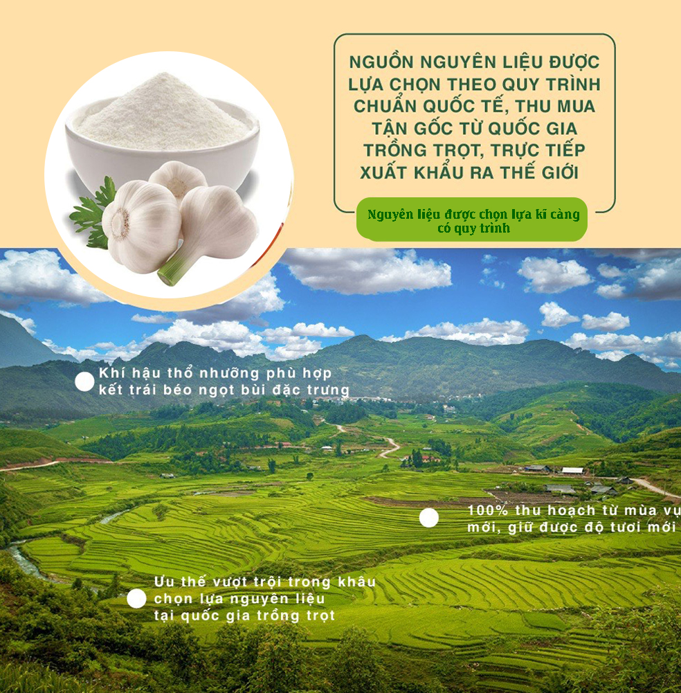 [Chính hãng] Bột Tỏi 100g Dan D Pak