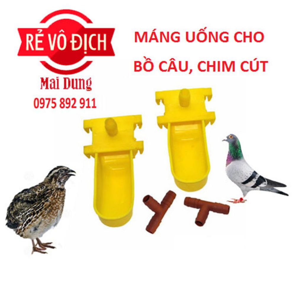 máng uống cho chim cút , bồ câu