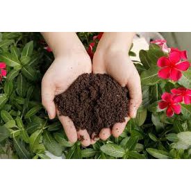 Phân Trùn Quế Sfarm Pb01 ( túi 2kg )