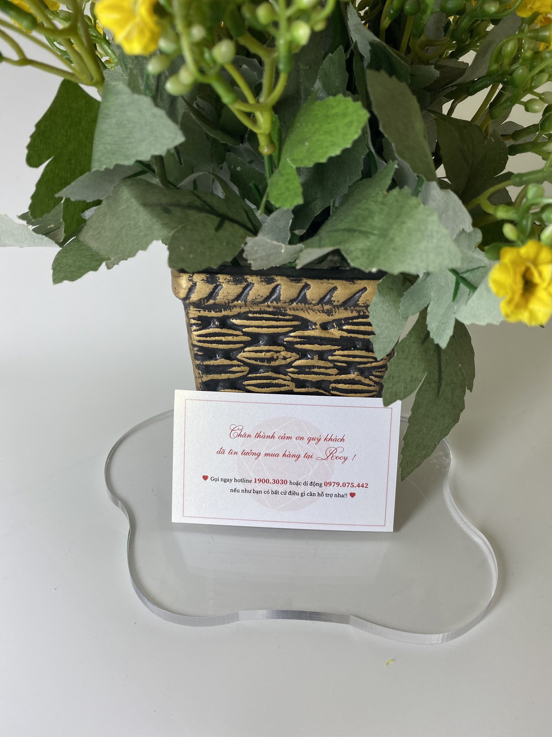 [HB Gift] Rocy Thư Cảm Ơn