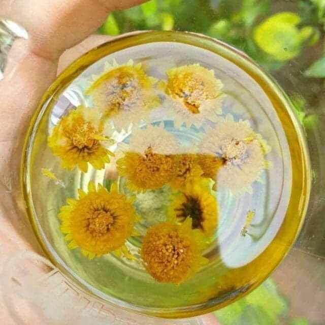 Trà Hoa Cúc Đường Phèn Thơm Ngon