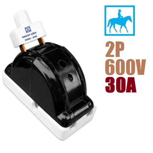 Cầu dao điện đảo chiều cao cấp 2 pha 2P 30A 600V