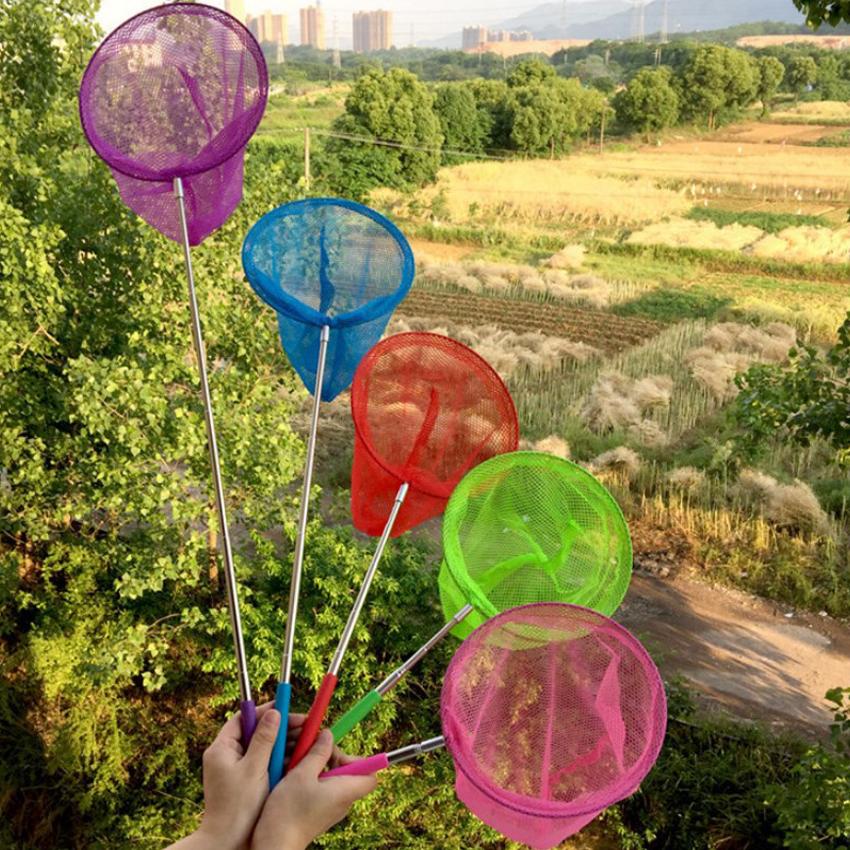 Vợt vớt cá cảnh