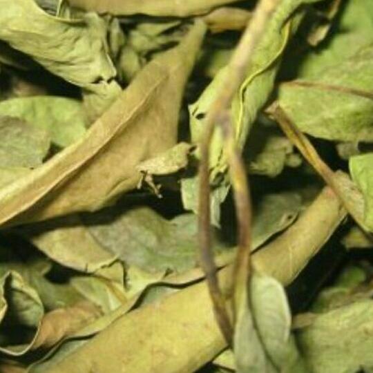 sỉ 1kg chè dây quê nhà làm