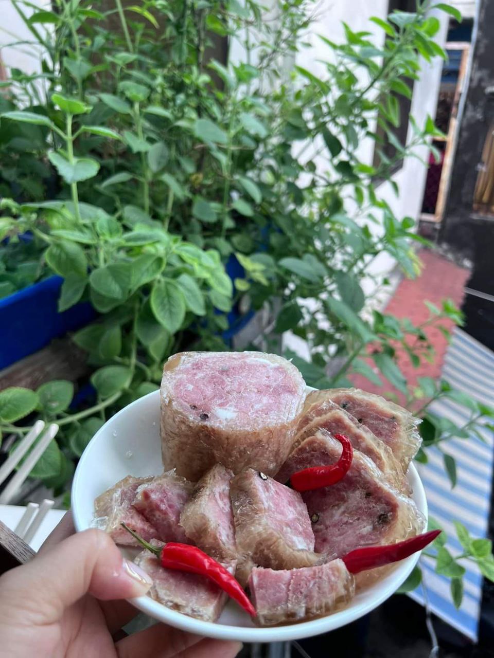 Jambon Gân 500g (Pate Gân) [GIAO HỎA TỐC HCM]
