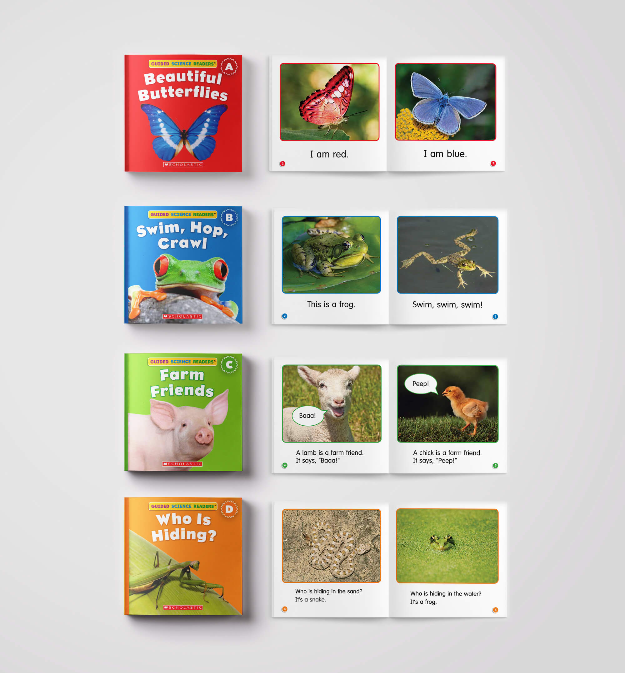 Scholastic Guided Science Reader Level A, B, C,D,E và F - 81 quyển | Nhập Khẩu