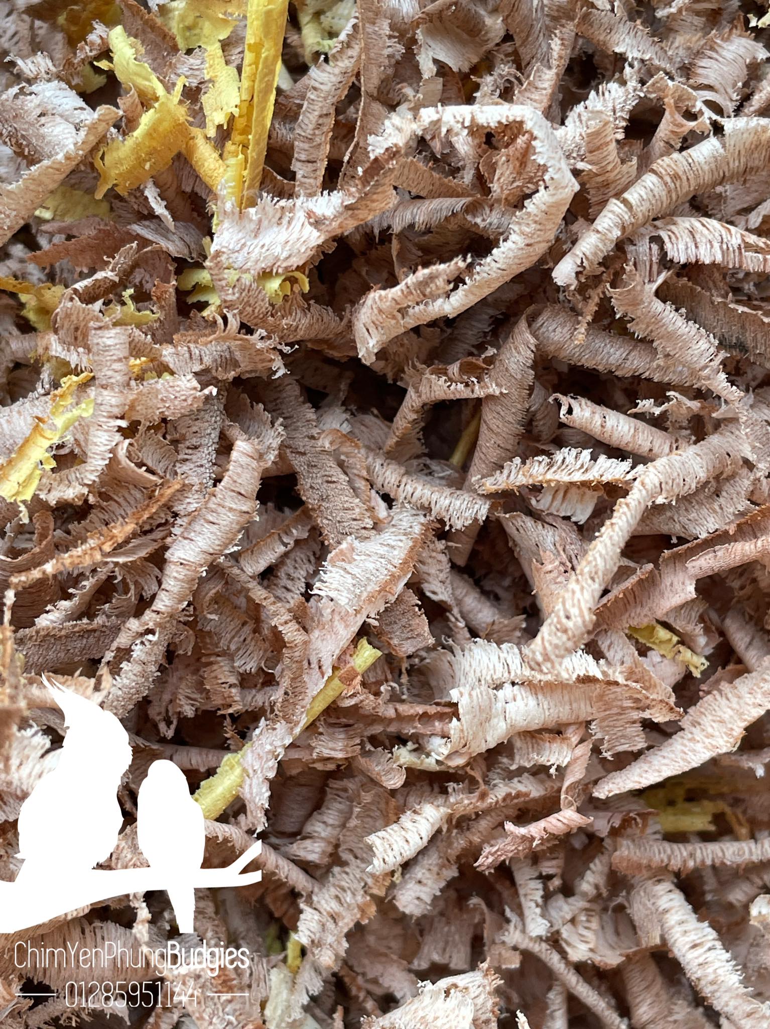 1KG DĂM BÀO THÔ LÓT TỔ CHIM (xơ bào)