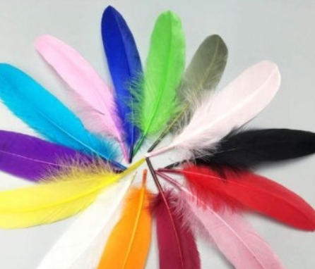 2-5-10 lông vũ cứng 15-20cm nhiều màu