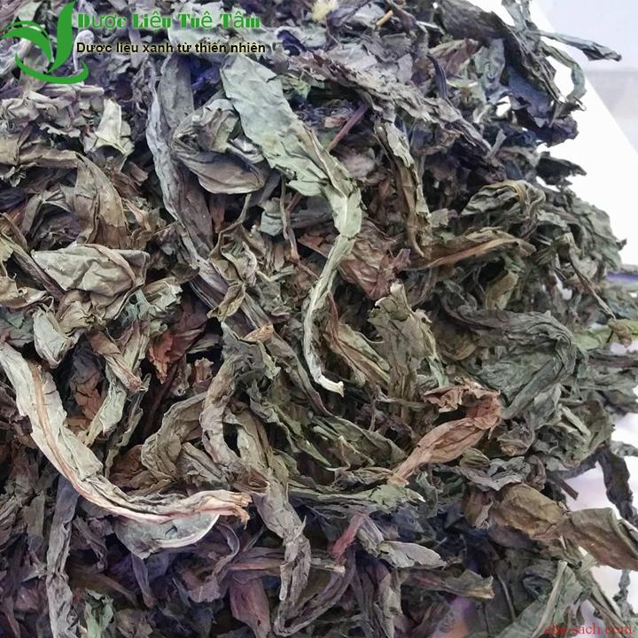 [HCM]200gr Lá khôi tía - Lá khôi nhung