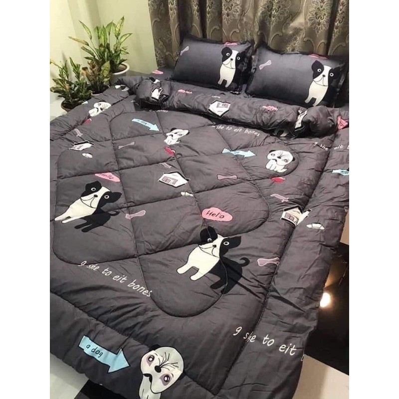 Bộ Ga Giường Cotton Poly 5 Món Chăn Phao