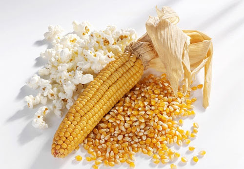 Bắp Nổ - Mỹ Làm Bắp Rang Bơ gói 1KG (2 loại Hình Nấm, Bắp Bướm)