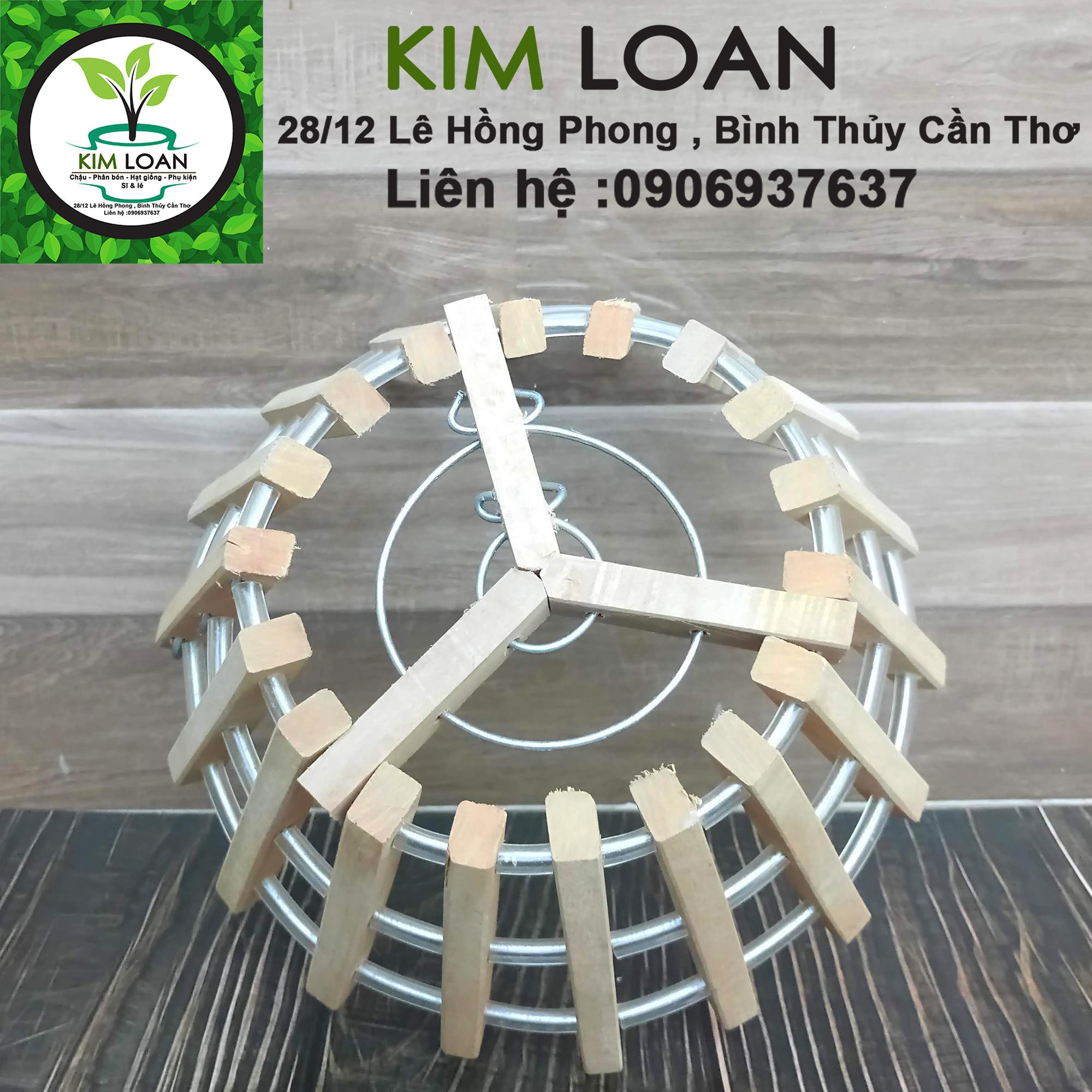 Chậu lan tròn gỗ căm xe 24x12cm