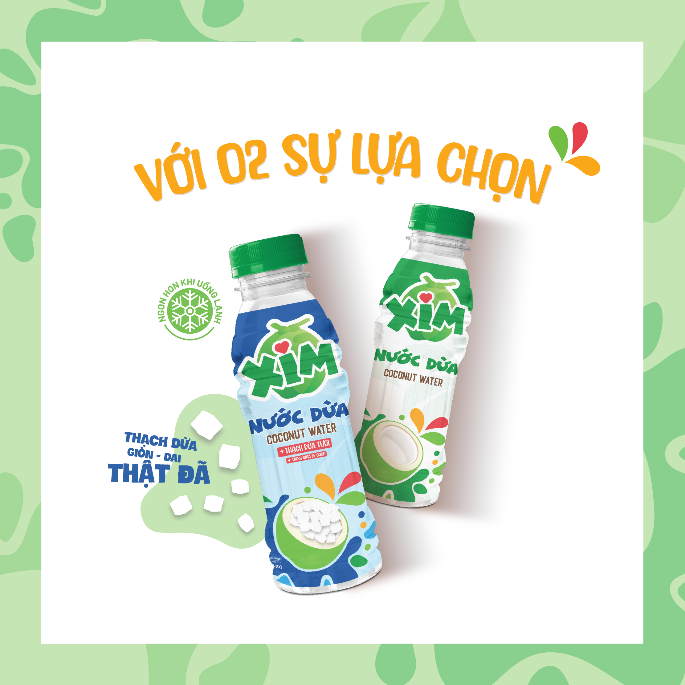 [HSD:T10/2025]Combo 6 Chai Nước Dừa Xim Chai PET 350ml