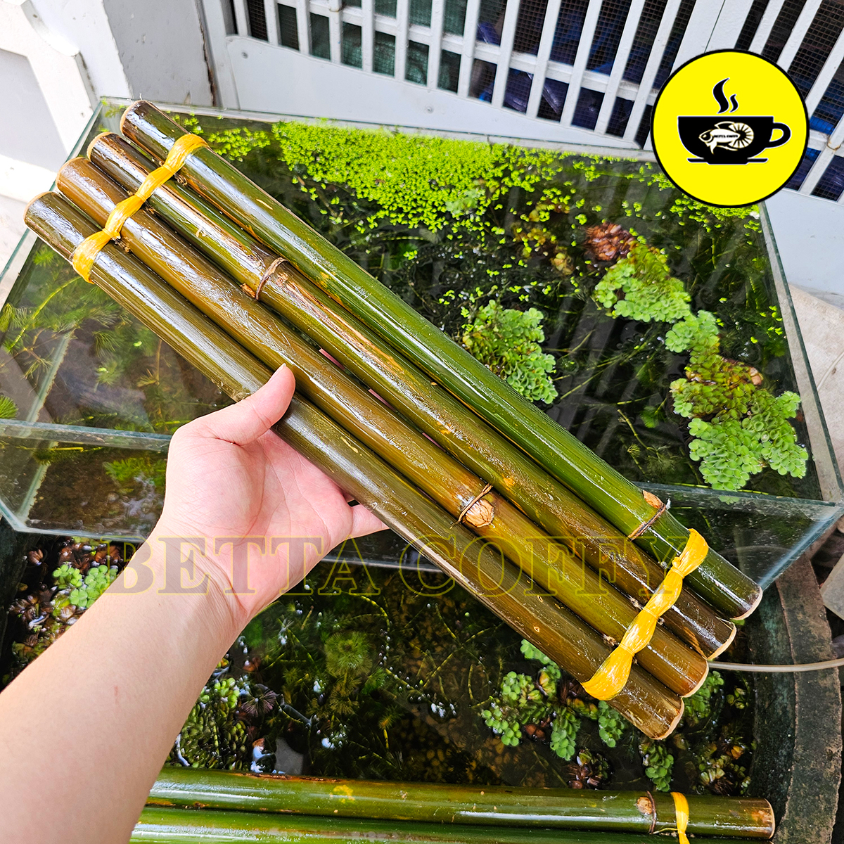 Phên tre thác nước trang trí bể cá hòn non bộ tiểu cảnh 35cm 45cm 70cm