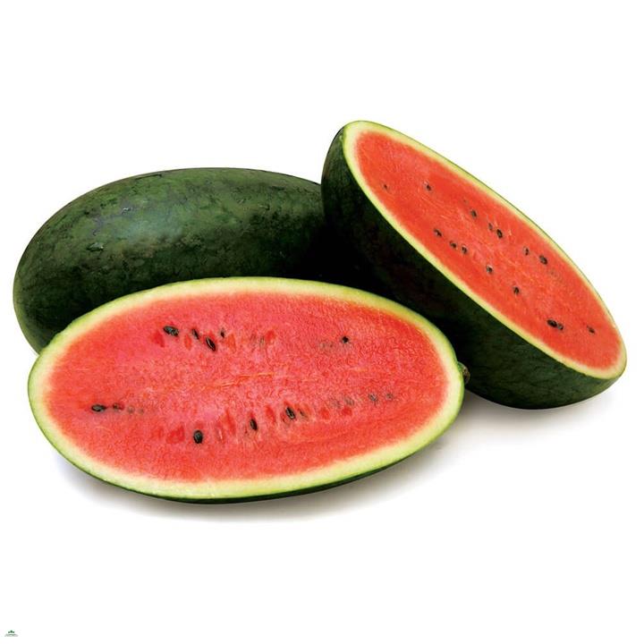 Keo Liền Sẹo cây Mỹ Morrison 100gram