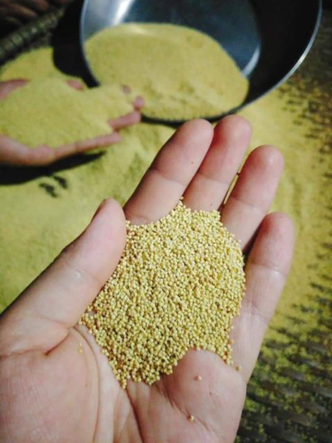 1kg hạt kê nếp thuần chủng hạt nhỏ liti