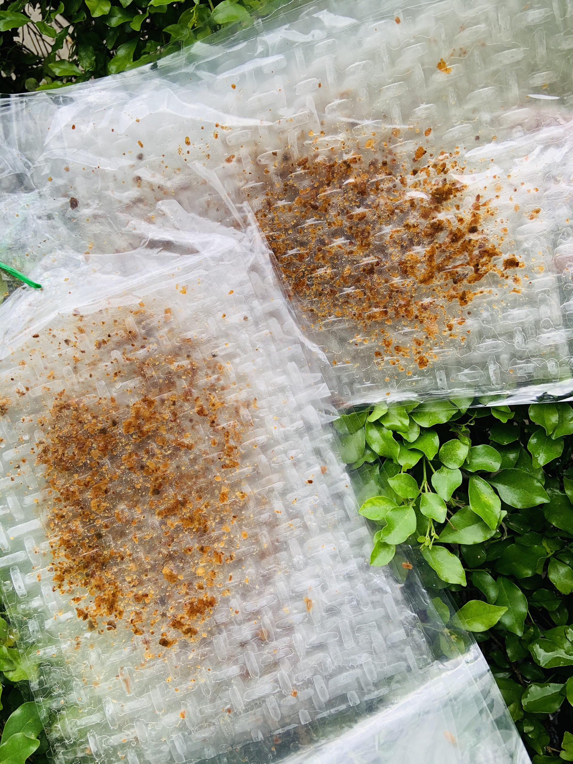 [Xâu/14bich] BÁNH TRÁNG QUÉT MUỐI