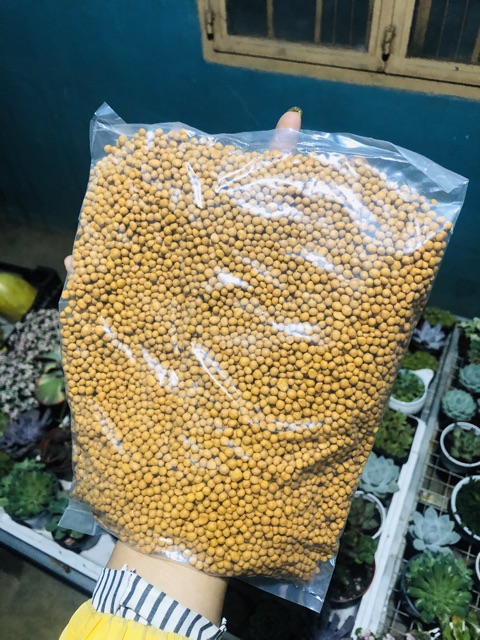 100gr phân tan chậm cho sen đá- xương rồng- hoa-cây cảnh