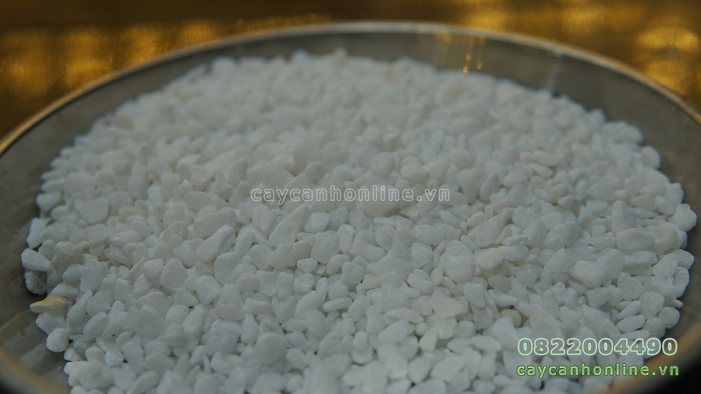1Kg đá trắng mini rải chậu cây cảnh