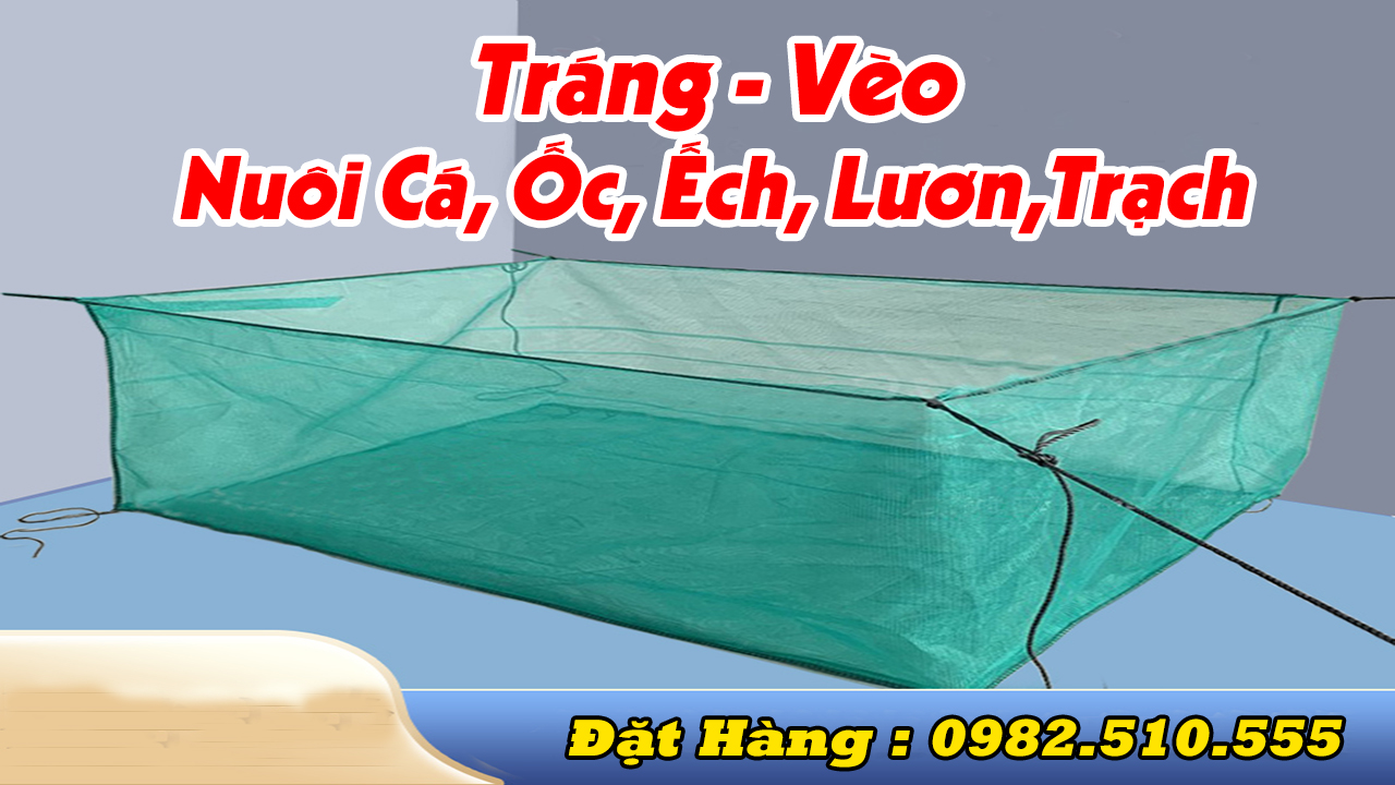 Tráng nuôi ốc nhồi mới nở - 2x1x1