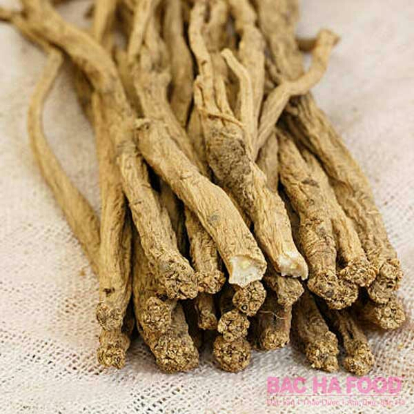 1kg đẳng sâm