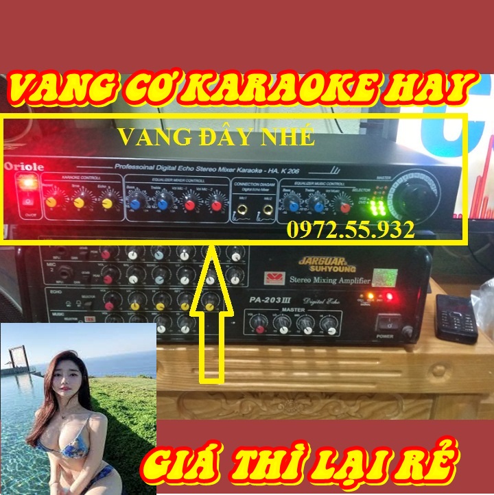 Vang cơ karaoke giá rẻ dễ sử dụng - vang k206