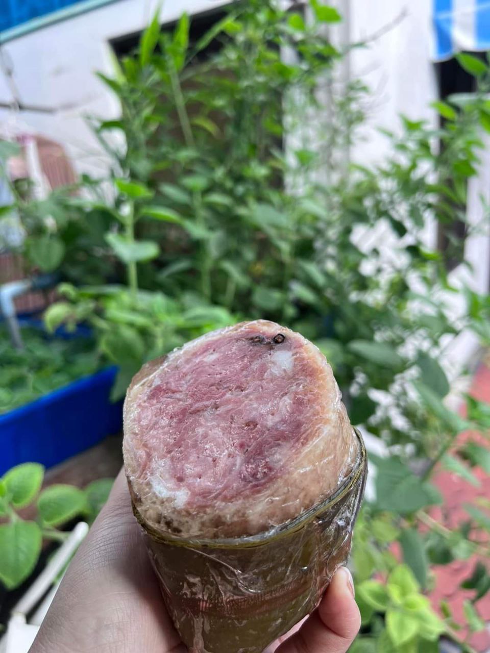 Jambon Gân 500g (Pate Gân) [GIAO HỎA TỐC HCM]