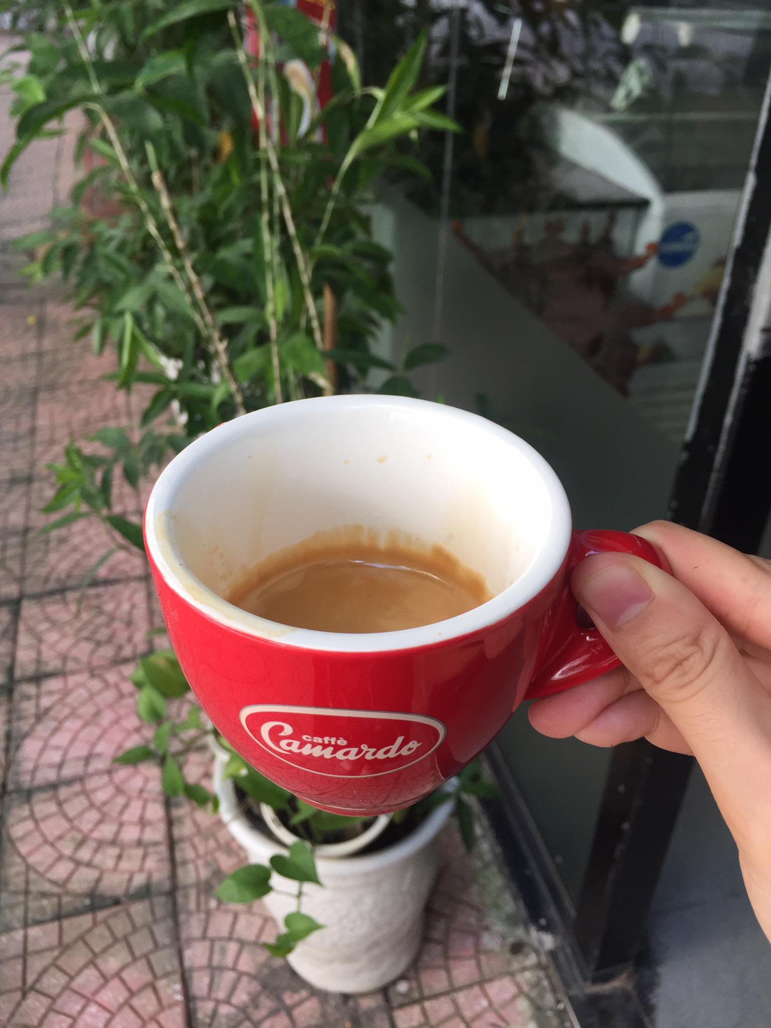cà phê Hạt- cà phê máy- hạt cà phê Camardo- bean coffee
