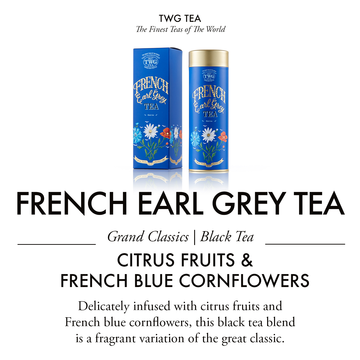 Trà TWG Tea - French Earl Grey (100g) | Trà Đen