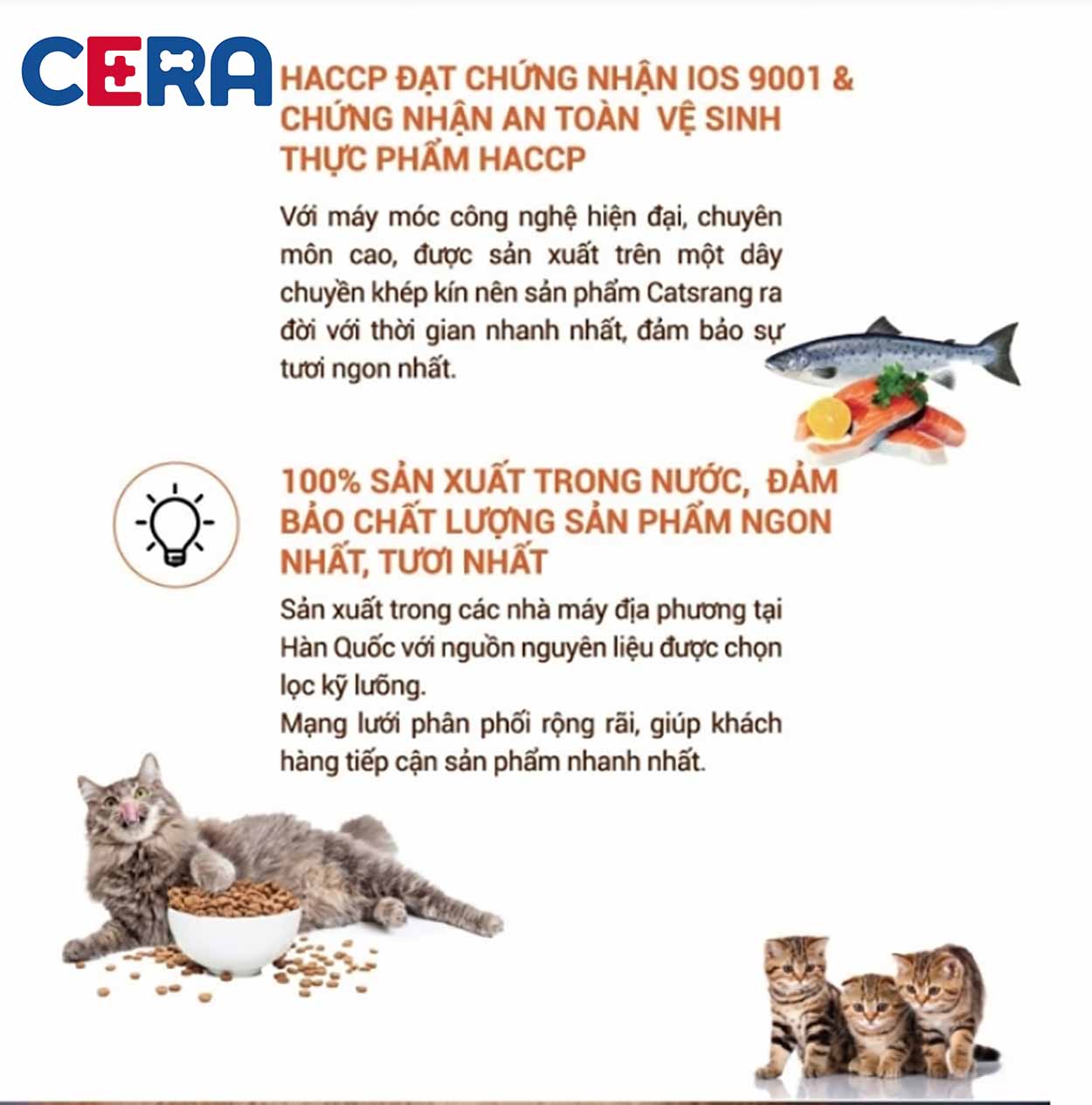 Thức Ăn Mèo CatsRang Kitten - Mèo Con 400GR
