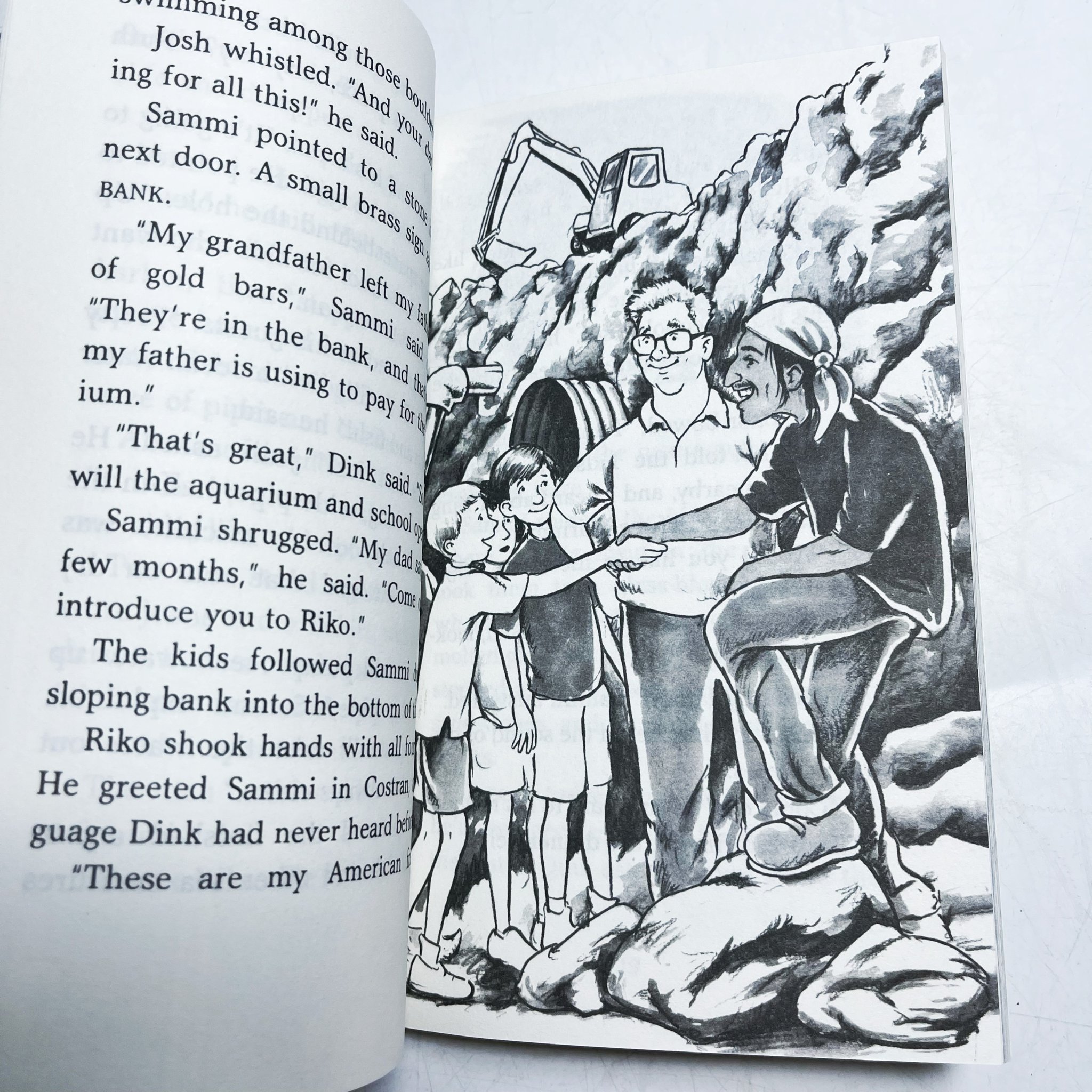 A TO Z MYSTERIES - Boxset 26 cuốn ( có audio )