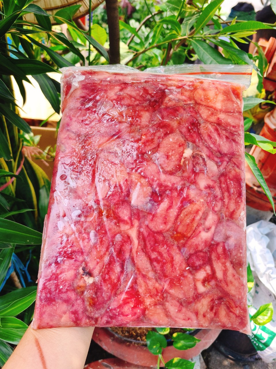 Bao tử cá BaSa 1kg loại ngon siêu giòn