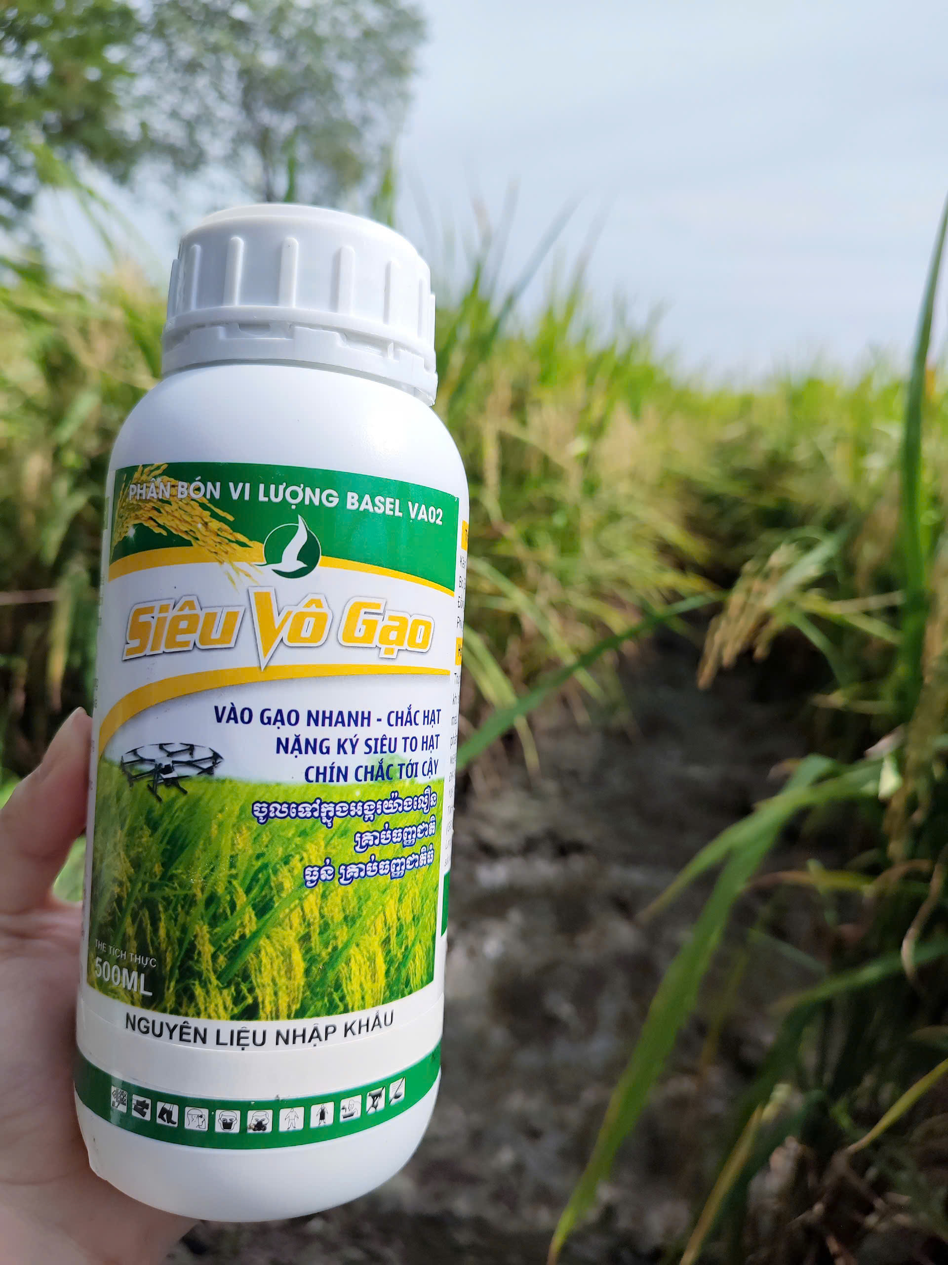 PHÂN BÓN CHO LÚA SIÊU VÔ GẠO (chai 500ml)
