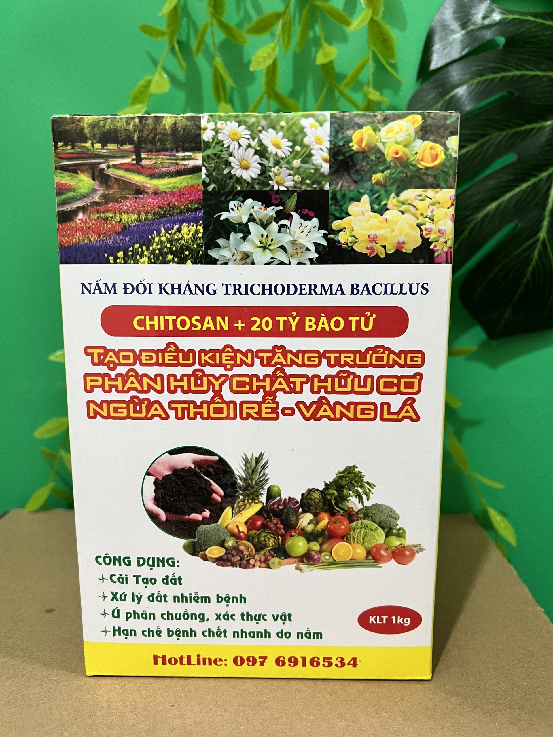 Nấm Trichoderma Bacillus dạng bột, nước, nấm đối kháng Tricoderma dùng ủ phân bón, rác thải nhà bếp
