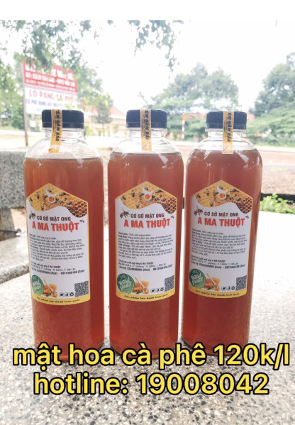 MẬT ONG HOA CÀ PHÊ THƯỢNG HẠNG A MA THUỘT