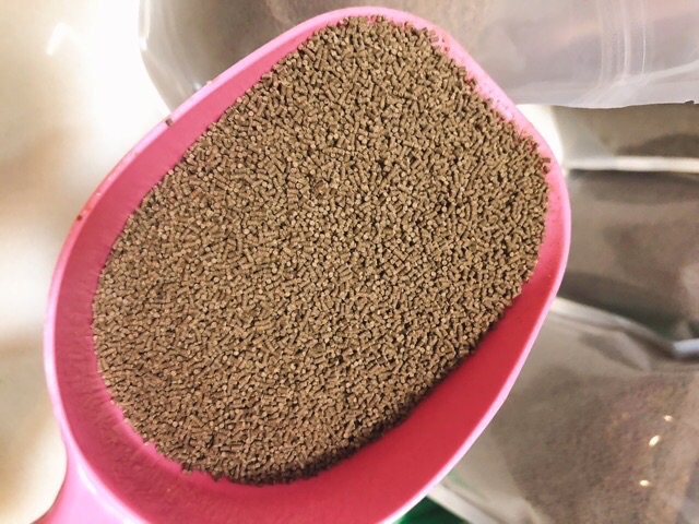 100gram cám chìm cho cá ăn tầng đáy