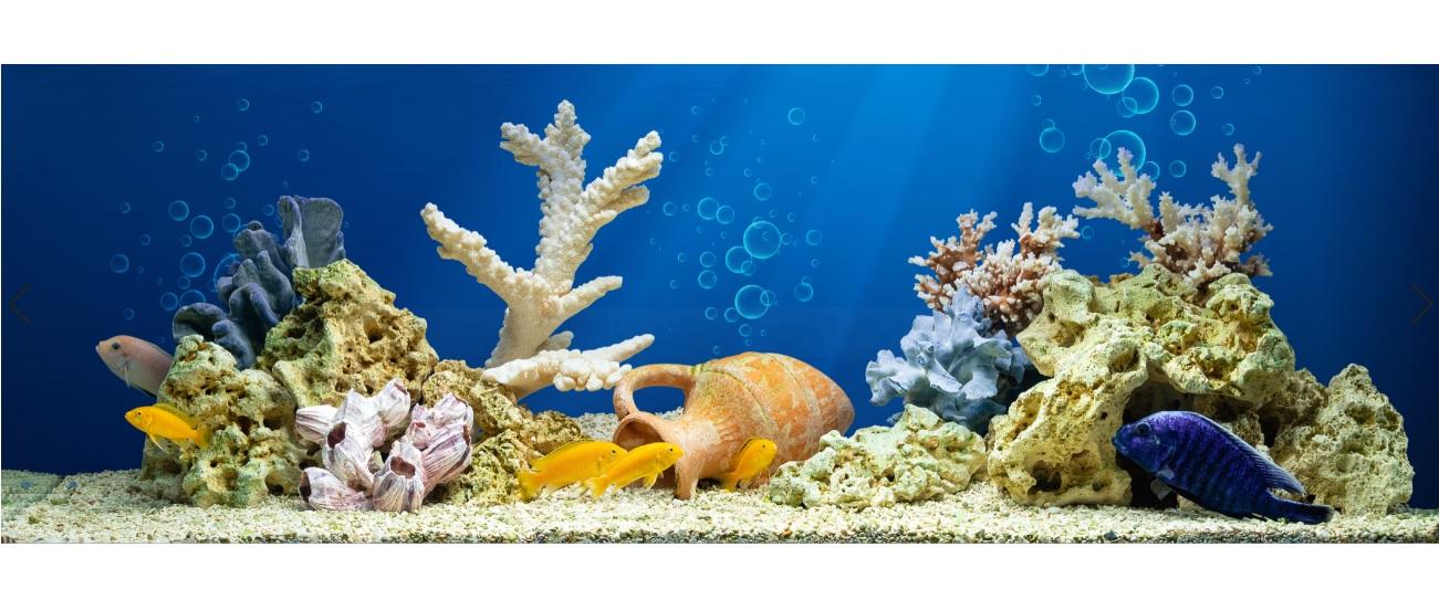 Tranh phông nền vtc dán hồ cá, bể thủy sinh aqua_038 kt 120 x 60 cm