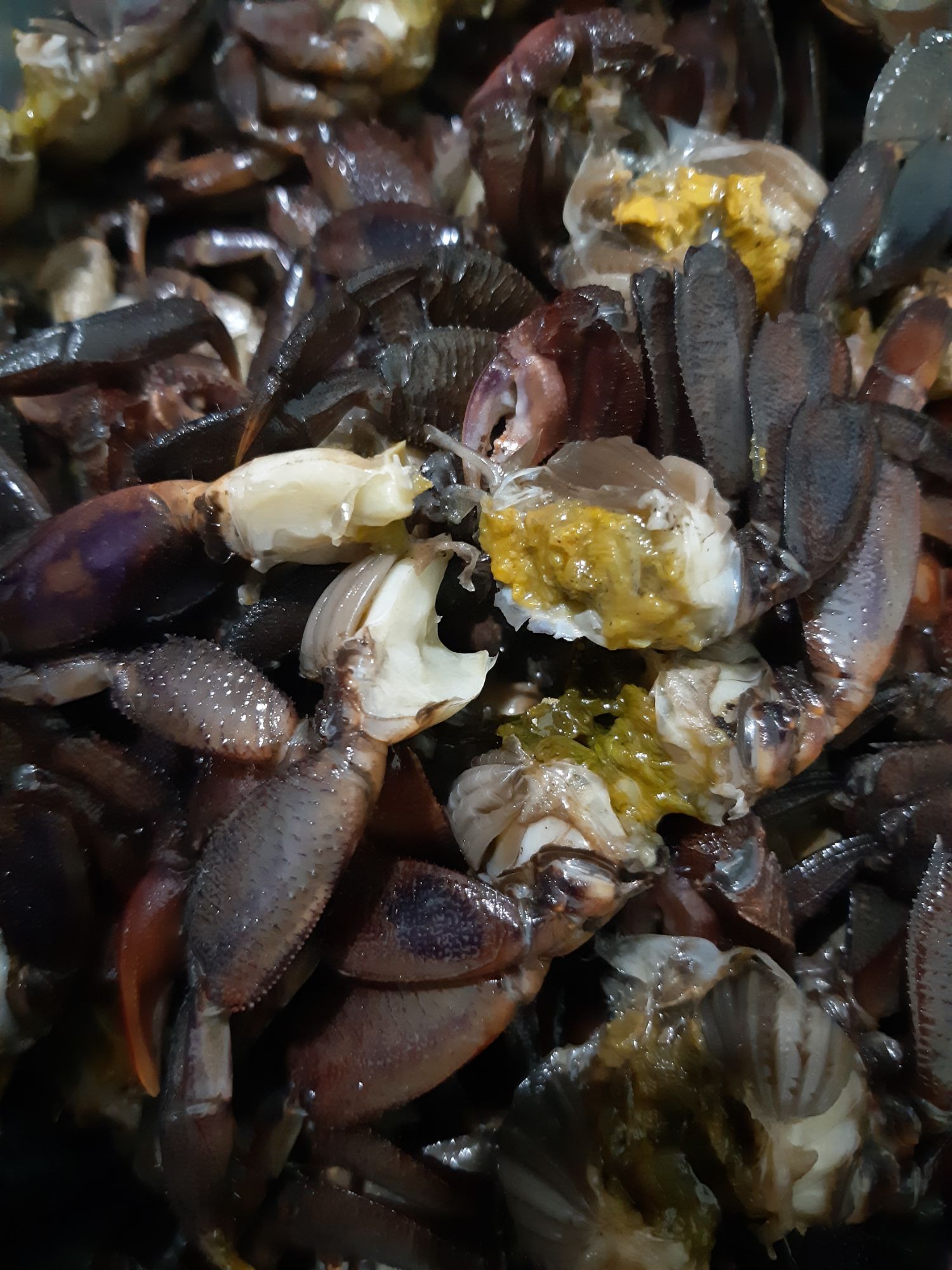 Ba Khía trộn 1kg